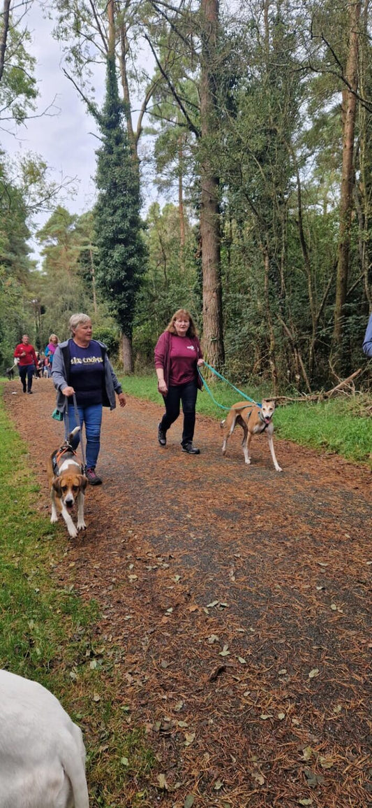 Oliver Walk and Fun Dog Show