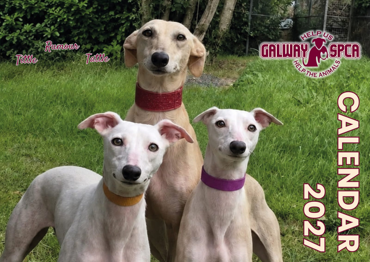 GSPCA 2027 Calendar