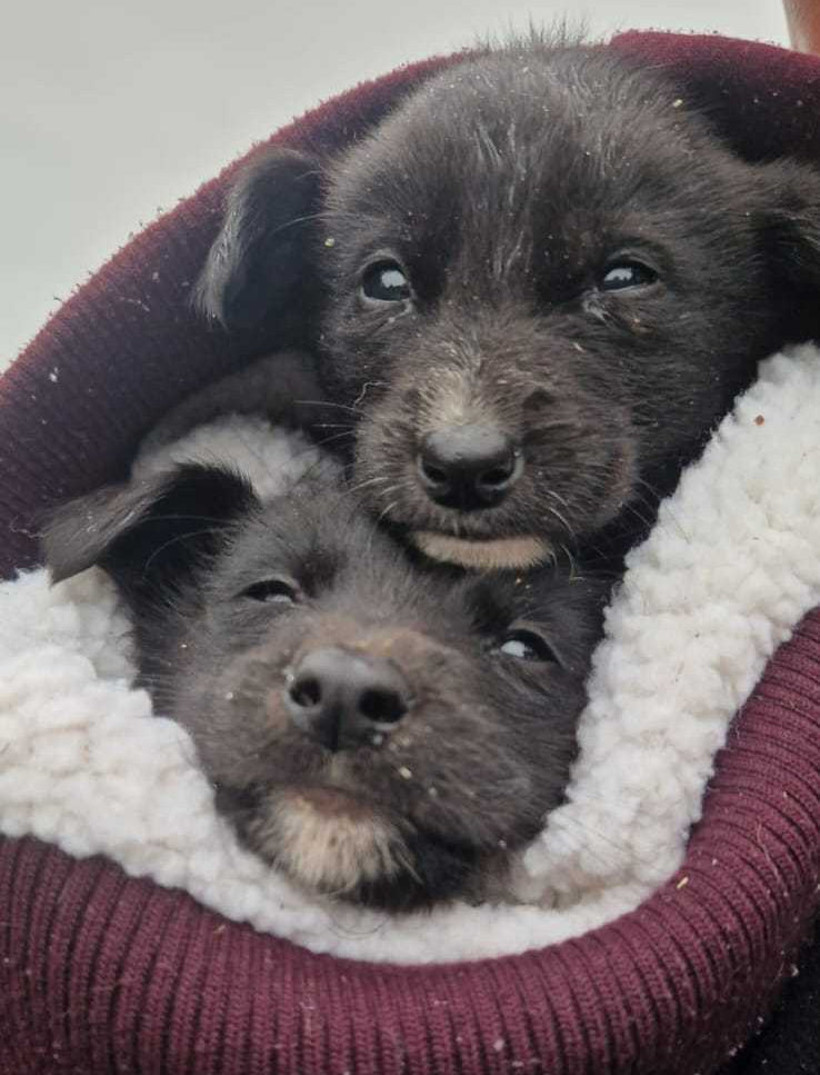 A Safe Place to Rest