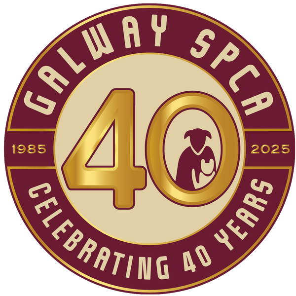 Galway SPCA