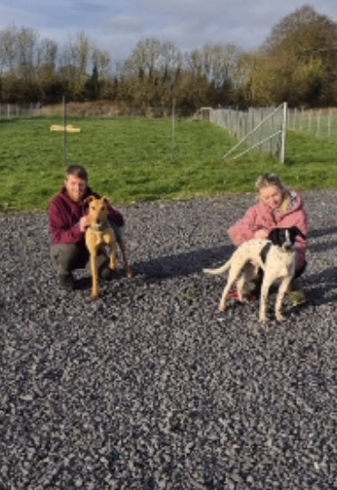 GSPCA at CaniCross