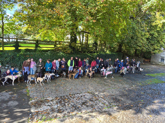Greyt Global Greyhound Walk 2026