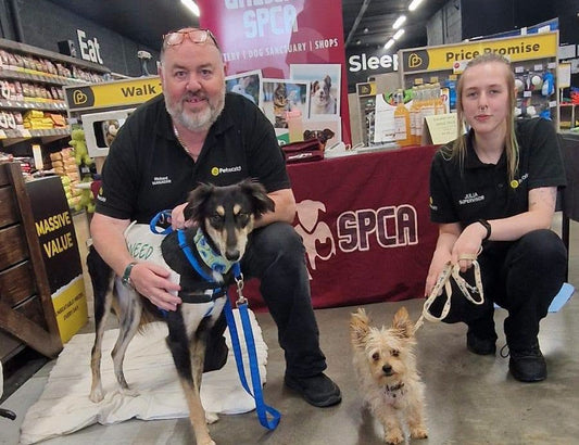 Petworld Briarhill, Meet and Greet