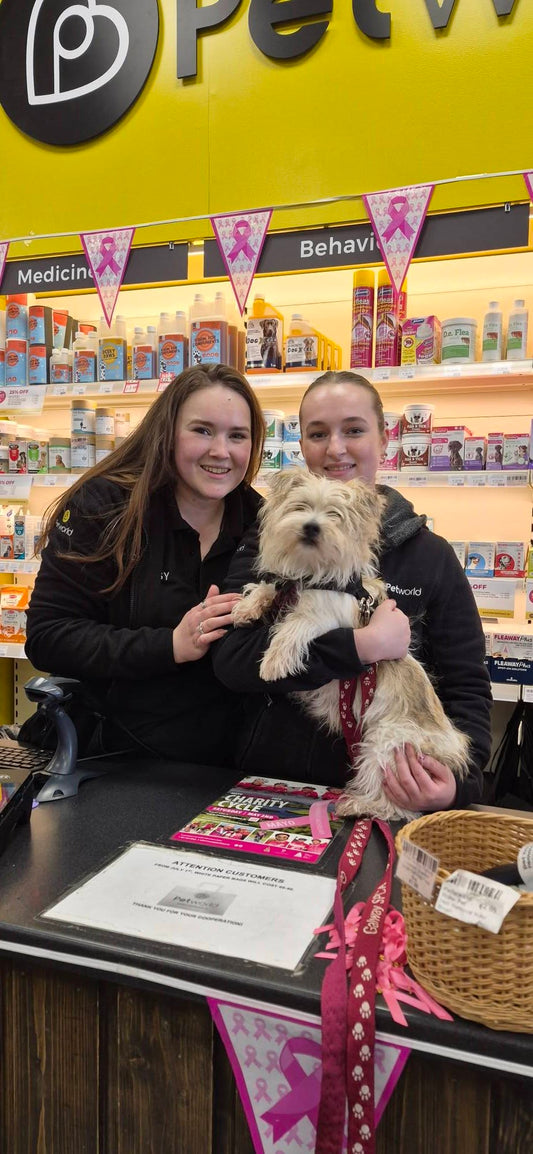 Petworld, Knocknacarra