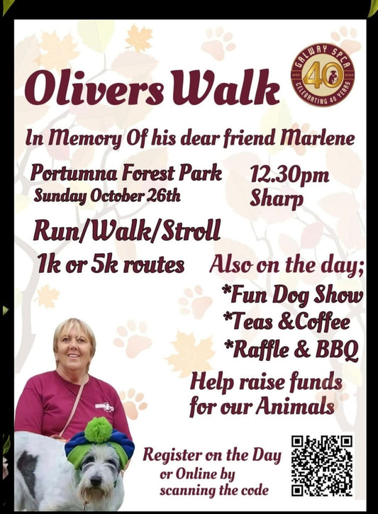 Oliver's Walk, Sunday 26th