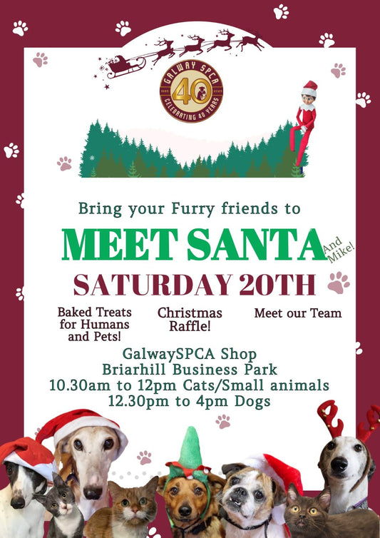 Let your pets meet Santa on Saturday 20th, December