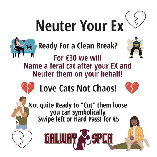 Support our TnR Efforts