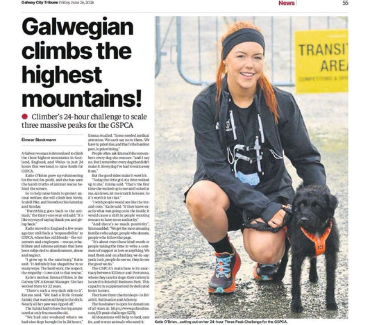 GalwaySPCA Special Fundraiser Appeal