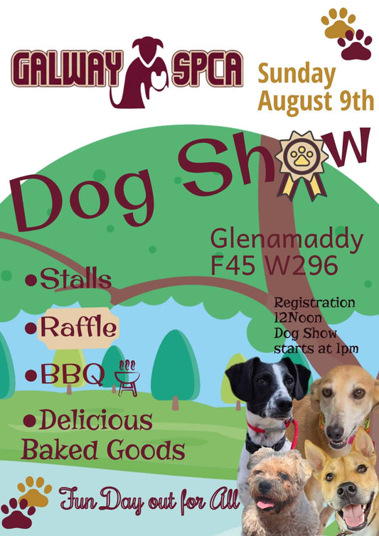 GalwaySPCA Annual Fun Dog Show