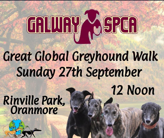 Great Global Greyhound Walk, Sept 27th, Rinville Park