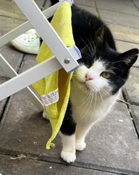 Trap Release and Return