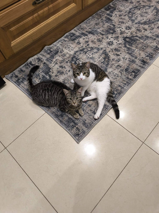 Dimitri and Tori, now Willow and Aurora