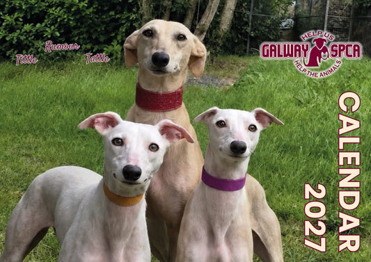 Our 2027 Calender is here and ready to go ...