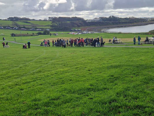 Great Global Greyhound Walk