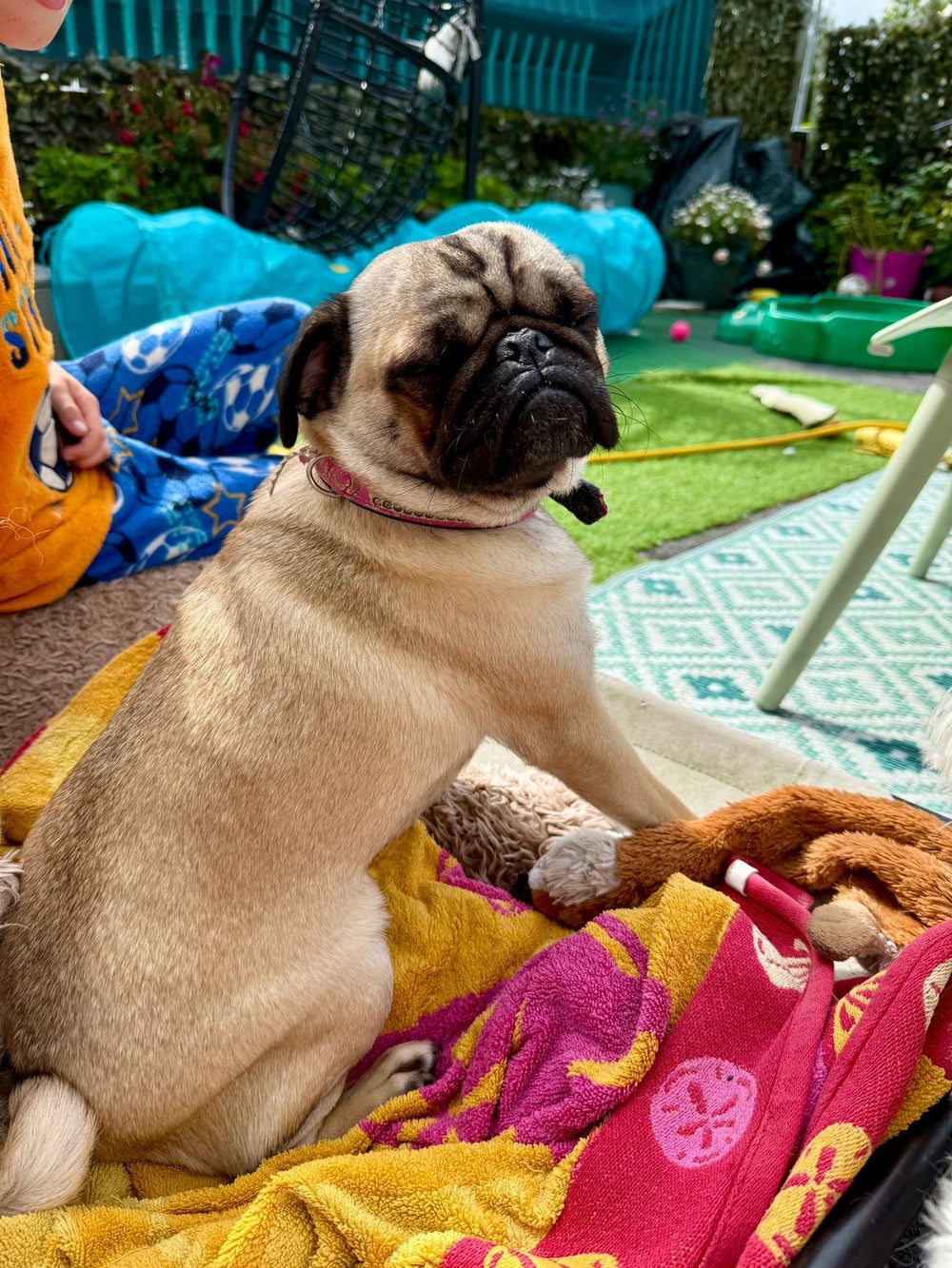 Bella