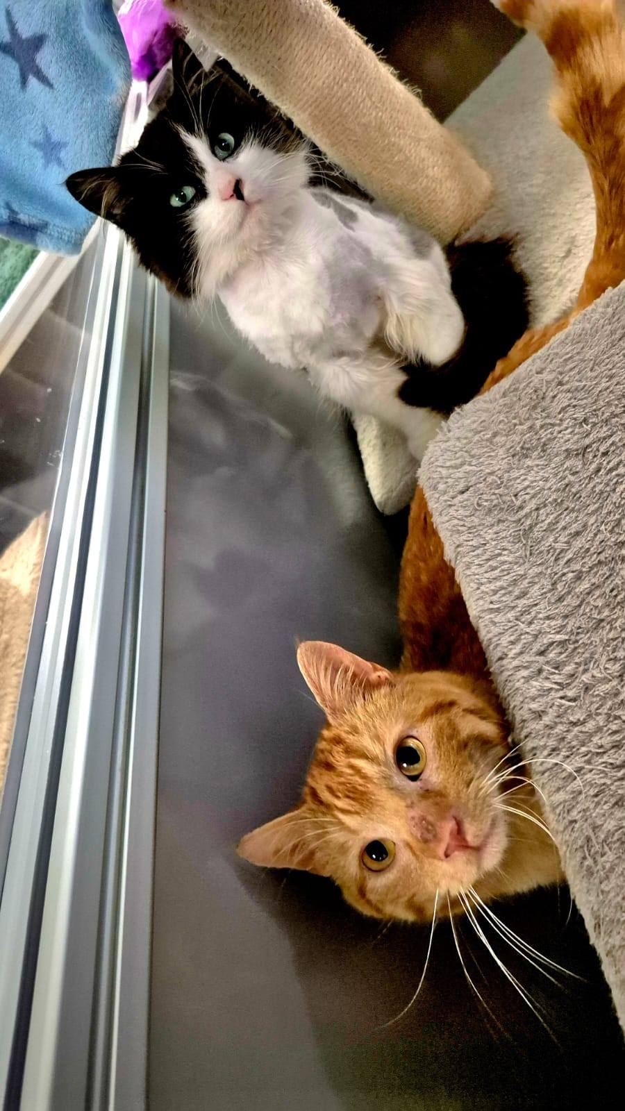 Oscar and Bert