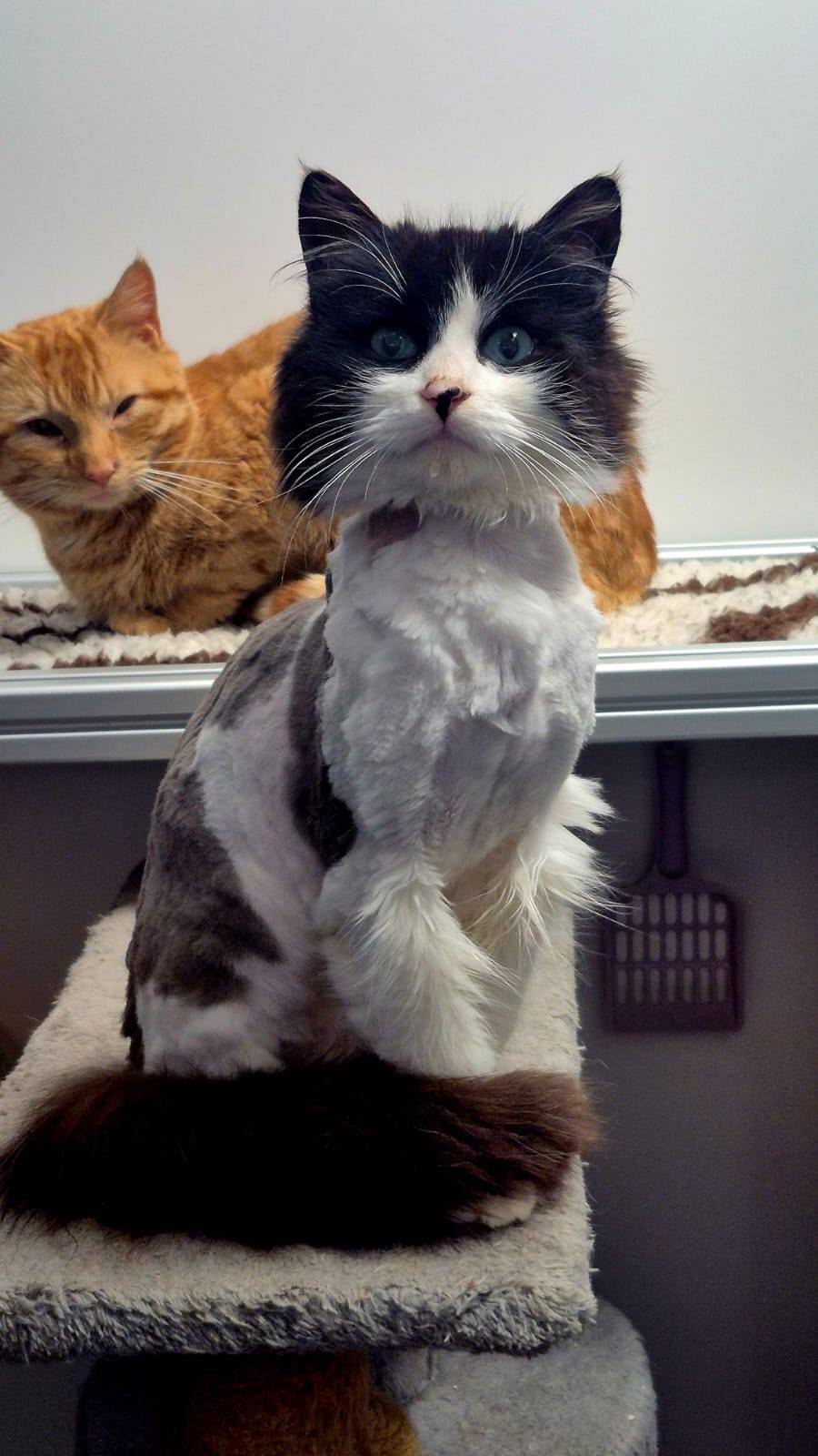 Oscar and Bert