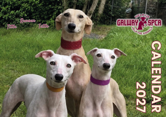 GSPCA 2027 Calendar
