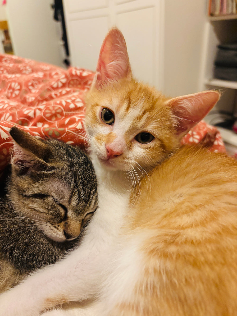 Beaker & Petri