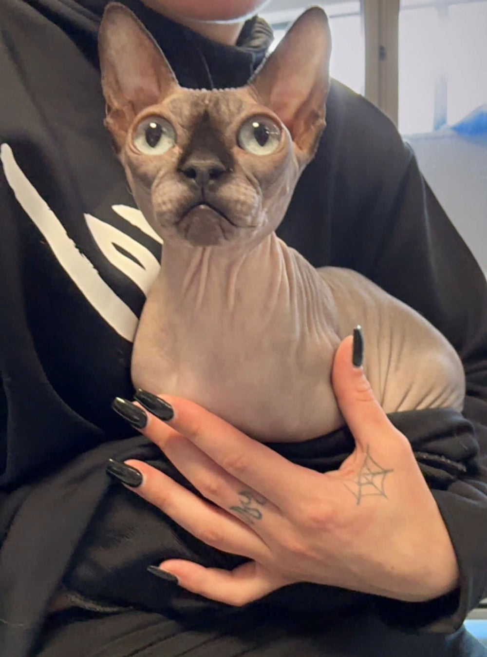Lylla