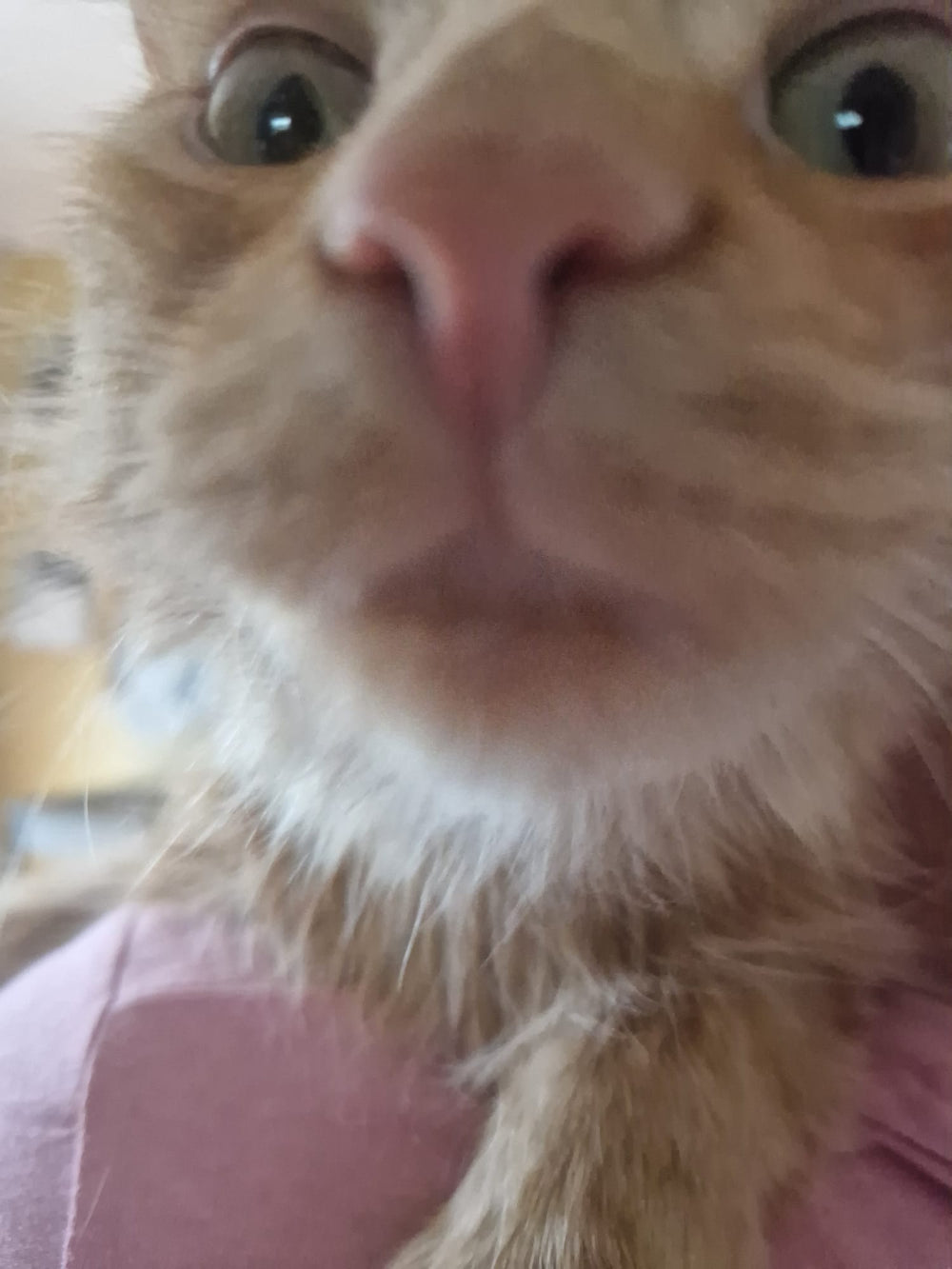 Marco