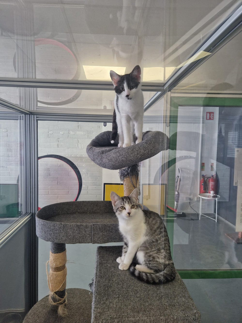 Salsa & Marmalade