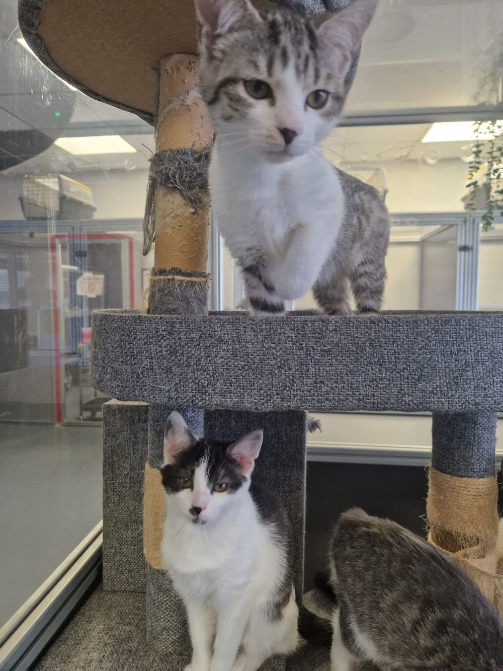 Salsa & Marmalade