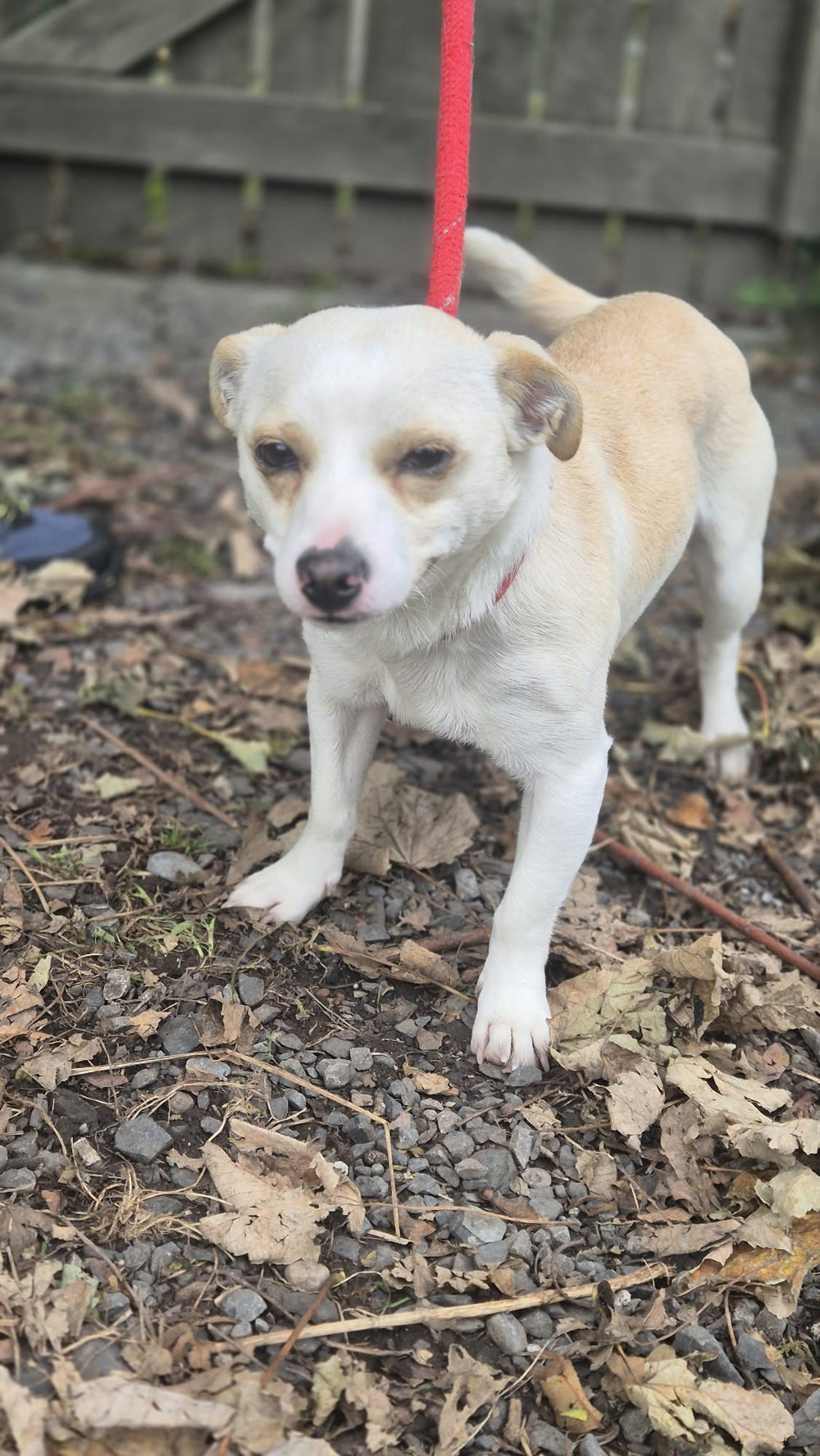 Sneeze