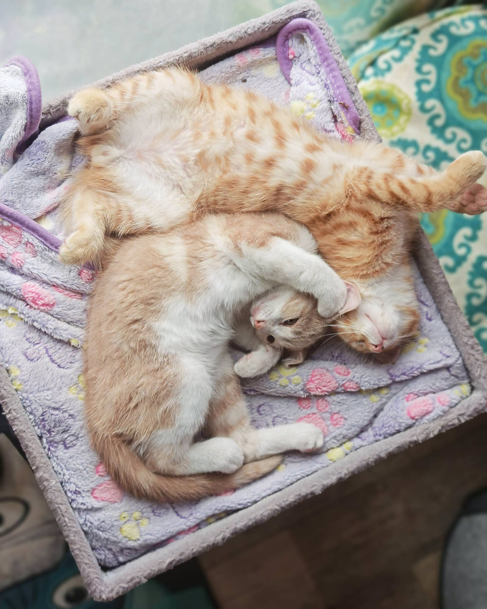Vanilla and Cinnamon Toast