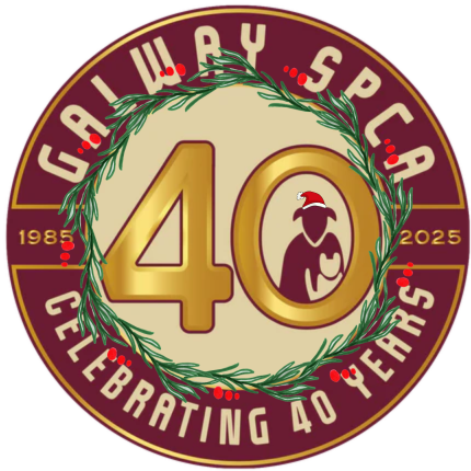 Galway SPCA